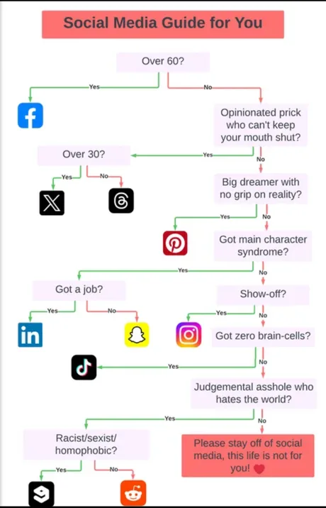 Funny flowchart of social media apps